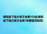 哪里能下载犬夜叉全集?介绍(哪里能下载犬夜叉全集?详细情况如何)