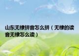 山东无棣拼音怎么拼（无棣的读音无棣怎么读）