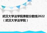 武汉大学法学院录取分数线2022（武汉大学法学院）