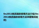 fm2011核武器的使用方法介绍(fm2011核武器的使用方法详细情况如何)