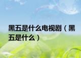 黑五是什么电视剧（黑五是什么）