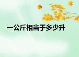 一公斤相当于多少升