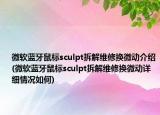 微软蓝牙鼠标sculpt拆解维修换微动介绍(微软蓝牙鼠标sculpt拆解维修换微动详细情况如何)
