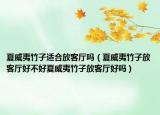 夏威夷竹子适合放客厅吗（夏威夷竹子放客厅好不好夏威夷竹子放客厅好吗）