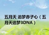 五月天 追梦赤子心（五月天追梦3DNA）