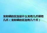 龙和蟒的区别是什么龙有几爪蟒有几爪（龙和蟒的区别有几个爪）