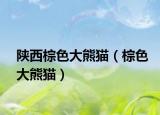 陕西棕色大熊猫（棕色大熊猫）