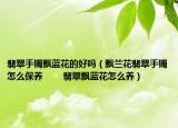 翡翠手镯飘蓝花的好吗（飘兰花翡翠手镯怎么保养 　　翡翠飘蓝花怎么养）