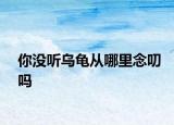 你没听乌龟从哪里念叨吗