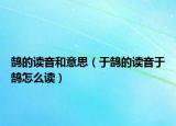 鹄的读音和意思（于鹄的读音于鹄怎么读）