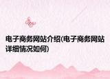 电子商务网站介绍(电子商务网站详细情况如何)