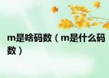 m是啥码数（m是什么码数）