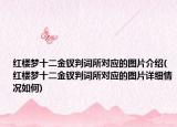 红楼梦十二金钗判词所对应的图片介绍(红楼梦十二金钗判词所对应的图片详细情况如何)