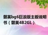 磐英bg6巨浪版主板说明书（磐英4B2GL）