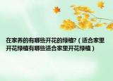 在家养的有哪些开花的绿植?（适合家里开花绿植有哪些适合家里开花绿植）