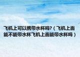 飞机上可以携带水杯吗?（飞机上面能不能带水杯飞机上面能带水杯吗）