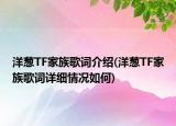 洋葱TF家族歌词介绍(洋葱TF家族歌词详细情况如何)