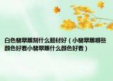 白色翡翠雕刻什么题材好（小翡翠雕哪些颜色好看小翡翠雕什么颜色好看）