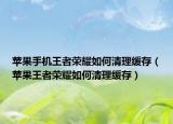 苹果手机王者荣耀如何清理缓存（苹果王者荣耀如何清理缓存）
