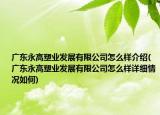 广东永高塑业发展有限公司怎么样介绍(广东永高塑业发展有限公司怎么样详细情况如何)