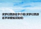 求梦幻西游名字介绍(求梦幻西游名字详细情况如何)