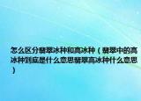 怎么区分翡翠冰种和高冰种（翡翠中的高冰种到底是什么意思翡翠高冰种什么意思）