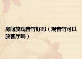房间放观音竹好吗（观音竹可以放客厅吗）
