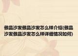 傲品沙发傲品沙发怎么样介绍(傲品沙发傲品沙发怎么样详细情况如何)