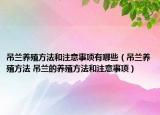 吊兰养殖方法和注意事项有哪些（吊兰养殖方法 吊兰的养殖方法和注意事项）