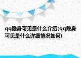 qq隐身可见是什么介绍(qq隐身可见是什么详细情况如何)