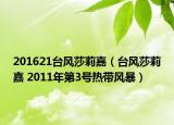 201621台风莎莉嘉（台风莎莉嘉 2011年第3号热带风暴）
