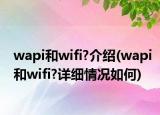 wapi和wifi?介绍(wapi和wifi?详细情况如何)