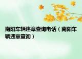 南阳车辆违章查询电话（南阳车辆违章查询）