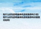 有什么好玩的电脑单机游戏推荐吗介绍(有什么好玩的电脑单机游戏推荐吗详细情况如何)