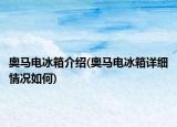 奥马电冰箱介绍(奥马电冰箱详细情况如何)