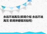 永远不说再见(歌词介绍 永远不说再见 歌词详细情况如何)