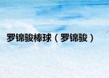 罗锦骏棒球（罗锦骏）