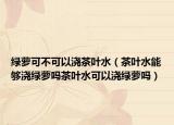 绿萝可不可以浇茶叶水（茶叶水能够浇绿萝吗茶叶水可以浇绿萝吗）