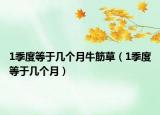 1季度等于几个月牛筋草（1季度等于几个月）