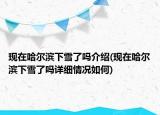 现在哈尔滨下雪了吗介绍(现在哈尔滨下雪了吗详细情况如何)