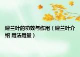 建兰叶的功效与作用（建兰叶介绍 用法用量）