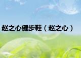 赵之心健步鞋（赵之心）