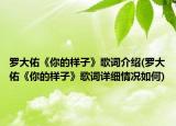罗大佑《你的样子》歌词介绍(罗大佑《你的样子》歌词详细情况如何)