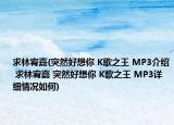 求林宥嘉(突然好想你 K歌之王 MP3介绍 求林宥嘉 突然好想你 K歌之王 MP3详细情况如何)