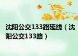 沈阳公交133路延线（沈阳公交133路）
