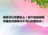猫咪可以吃鲅鱼么（能不能给猫咪吃鲅鱼肉猫咪可不可以吃鲅鱼肉）