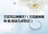 兰花可以淋雨不?（兰花能淋雨吗 能,但这几点切记!）