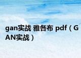 gan实战 雅各布 pdf（GAN实战）