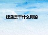 建盏是干什么用的