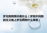 梦见狗狗预示着什么（梦到不同狗的含义晚上梦见狗狗什么意思）